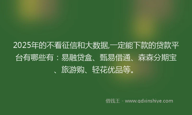 2025年的不看征信和大数据,一定能下款的贷款平台有哪些有：易融贷盒、甄易借通、森森分期宝、旅游购、轻花优品等。