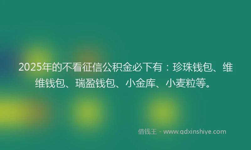 2025年的不看征信公积金必下有：珍珠钱包、维维钱包、瑞盈钱包、小金库、小麦粒等。