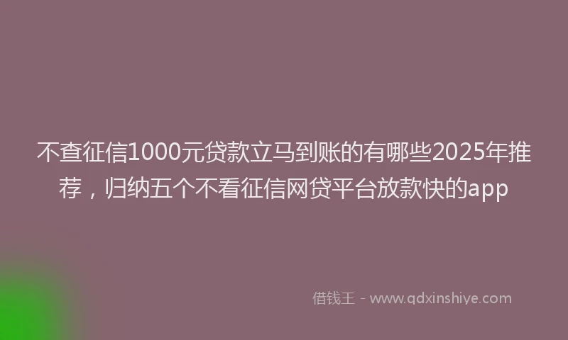 不查征信1000元贷款立马到账的有哪些2025年推荐，归纳五个不看征信网贷平台放款快的app
