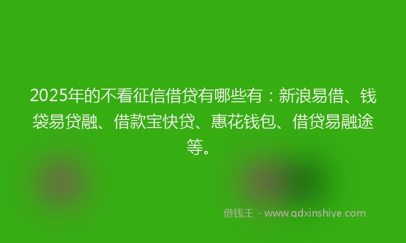 2025年的不看征信借贷有哪些有：新浪易借、钱袋易贷融、借款宝快贷、惠花钱包、借贷易融途等。
