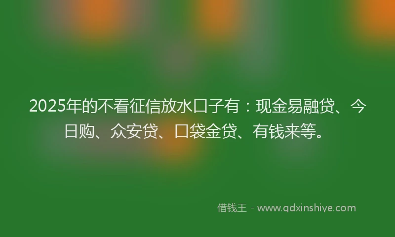 2025年的不看征信放水口子有：现金易融贷、今日购、众安贷、口袋金贷、有钱来等。