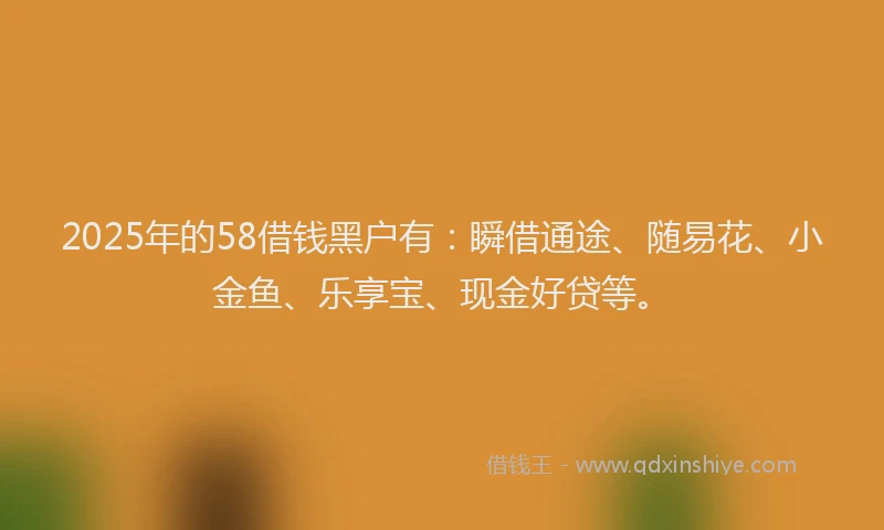 2025年的58借钱黑户有：瞬借通途、随易花、小金鱼、乐享宝、现金好贷等。