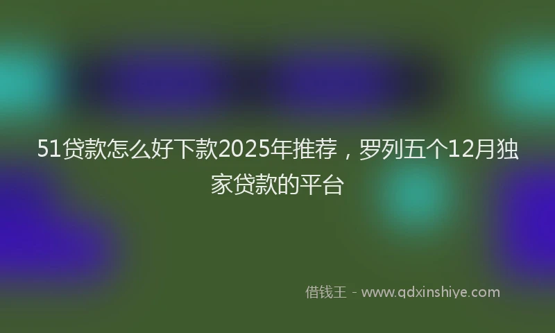 51贷款怎么好下款2025年推荐，罗列五个12月独家贷款的平台