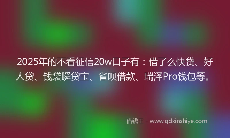 2025年的不看征信20w口子有：借了么快贷、好人贷、钱袋瞬贷宝、省呗借款、瑞泽Pro钱包等。
