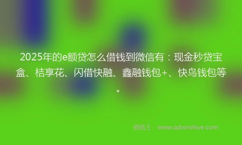 2025年的e额贷怎么借钱到微信有：现金秒贷宝盒、桔享花、闪借快融、鑫融钱包+、快鸟钱包等。