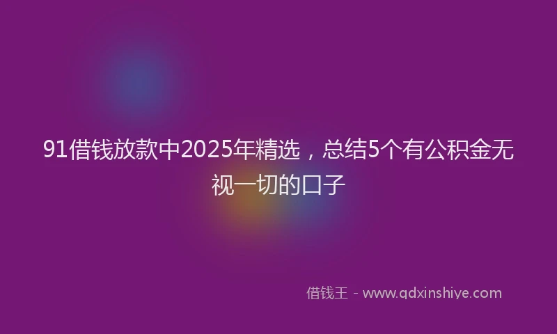 91借钱放款中2025年精选，总结5个有公积金无视一切的口子