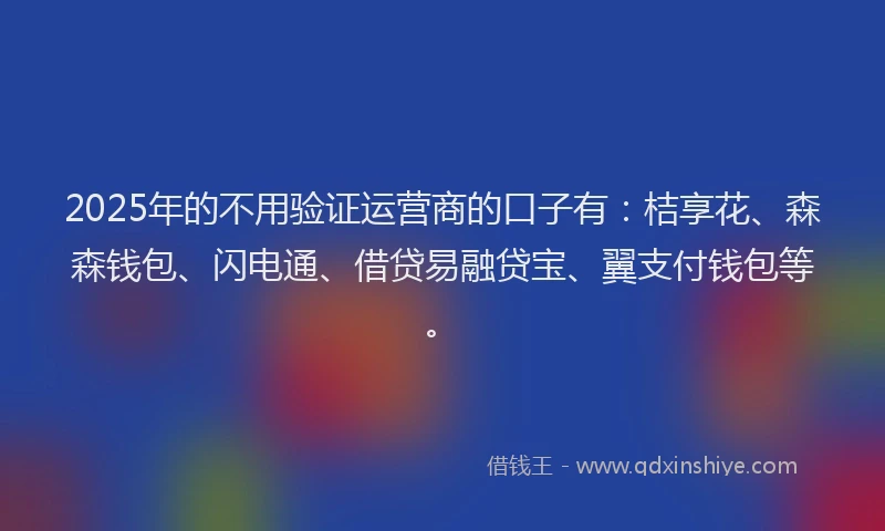 2025年的不用验证运营商的口子有：桔享花、森森钱包、闪电通、借贷易融贷宝、翼支付钱包等。