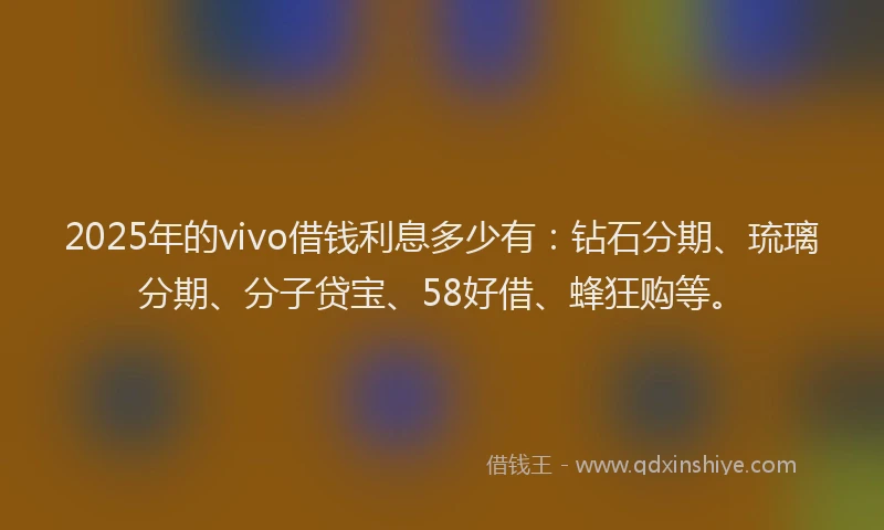 2025年的vivo借钱利息多少有：钻石分期、琉璃分期、分子贷宝、58好借、蜂狂购等。