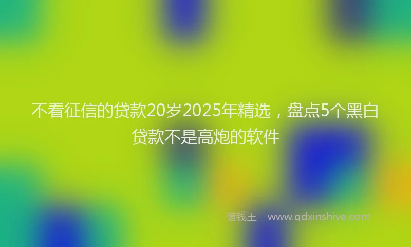 不看征信的贷款20岁2025年精选，盘点5个黑白贷款不是高炮的软件