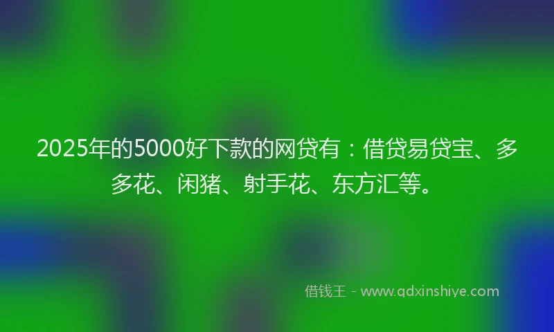 2025年的5000好下款的网贷有：借贷易贷宝、多多花、闲猪、射手花、东方汇等。