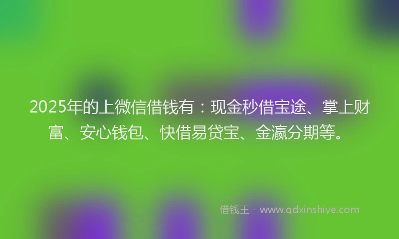 2025年的上微信借钱有：现金秒借宝途、掌上财富、安心钱包、快借易贷宝、金瀛分期等。