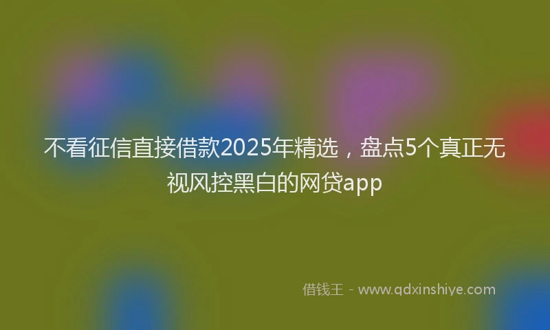 不看征信直接借款2025年精选，盘点5个真正无视风控黑白的网贷app