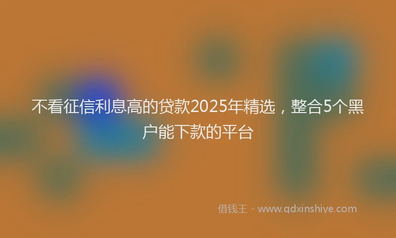 不看征信利息高的贷款2025年精选，整合5个黑户能下款的平台