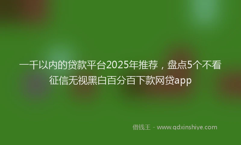 一千以内的贷款平台2025年推荐，盘点5个不看征信无视黑白百分百下款网贷app