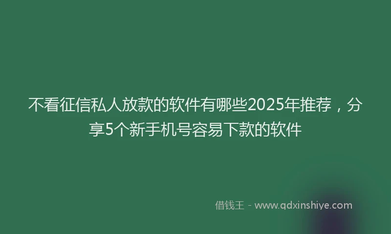 不看征信私人放款的软件有哪些2025年推荐，分享5个新手机号容易下款的软件