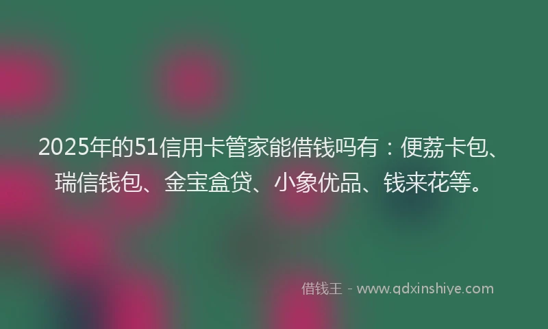 2025年的51信用卡管家能借钱吗有：便荔卡包、瑞信钱包、金宝盒贷、小象优品、钱来花等。