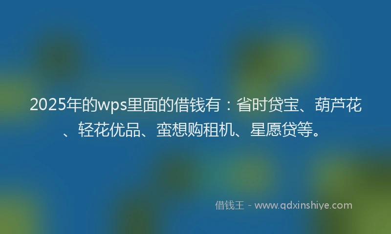2025年的wps里面的借钱有：省时贷宝、葫芦花、轻花优品、蛮想购租机、星愿贷等。