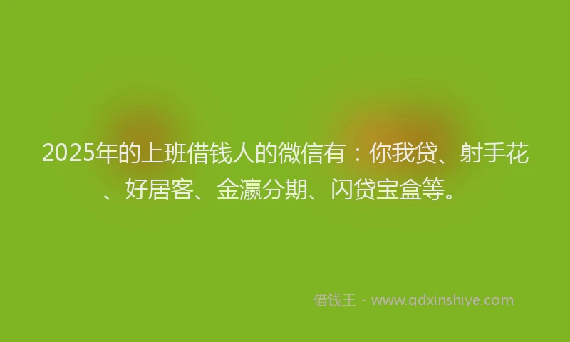 2025年的上班借钱人的微信有：你我贷、射手花、好居客、金瀛分期、闪贷宝盒等。