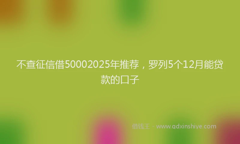 不查征信借50002025年推荐，罗列5个12月能贷款的口子