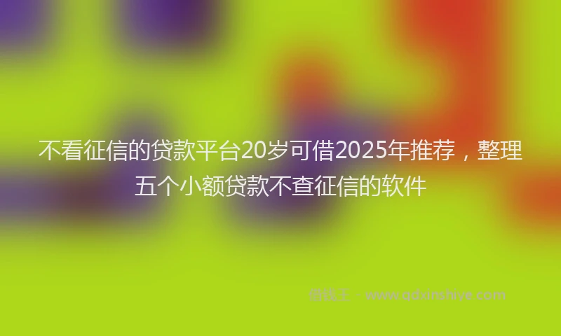 不看征信的贷款平台20岁可借2025年推荐，整理五个小额贷款不查征信的软件
