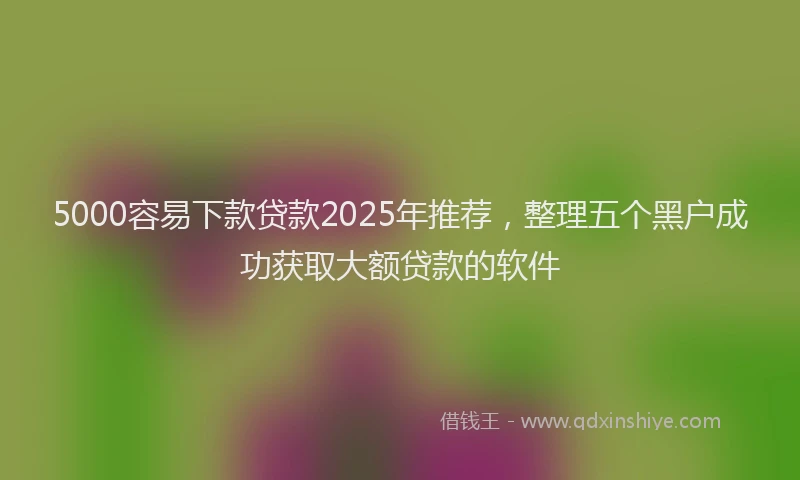5000容易下款贷款2025年推荐，整理五个黑户成功获取大额贷款的软件