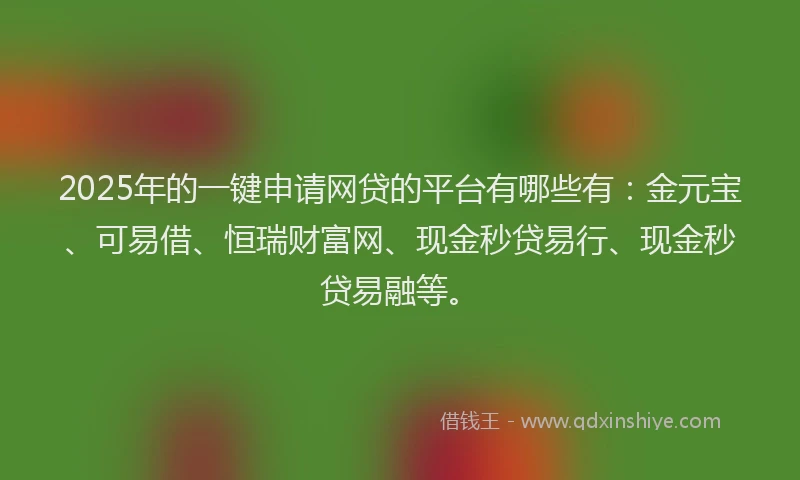 2025年的一键申请网贷的平台有哪些有：金元宝、可易借、恒瑞财富网、现金秒贷易行、现金秒贷易融等。