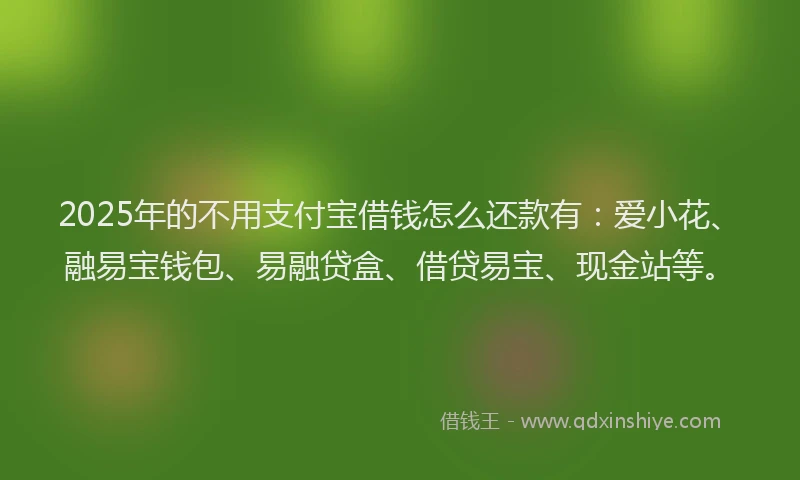 2025年的不用支付宝借钱怎么还款有：爱小花、融易宝钱包、易融贷盒、借贷易宝、现金站等。