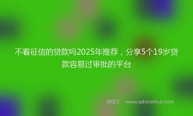 不看征信的贷款吗2025年推荐，分享5个19岁贷款容易过审批的平台