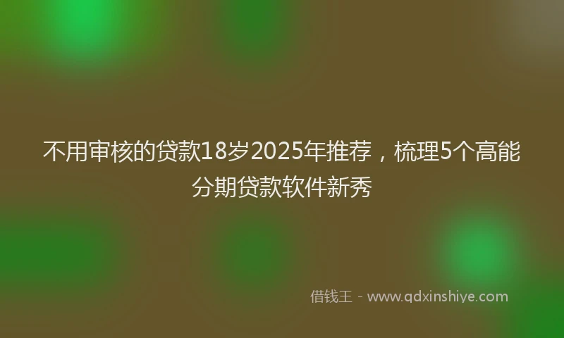 不用审核的贷款18岁2025年推荐，梳理5个高能分期贷款软件新秀