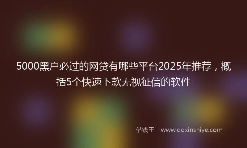 5000黑户必过的网贷有哪些平台2025年推荐，概括5个快速下款无视征信的软件