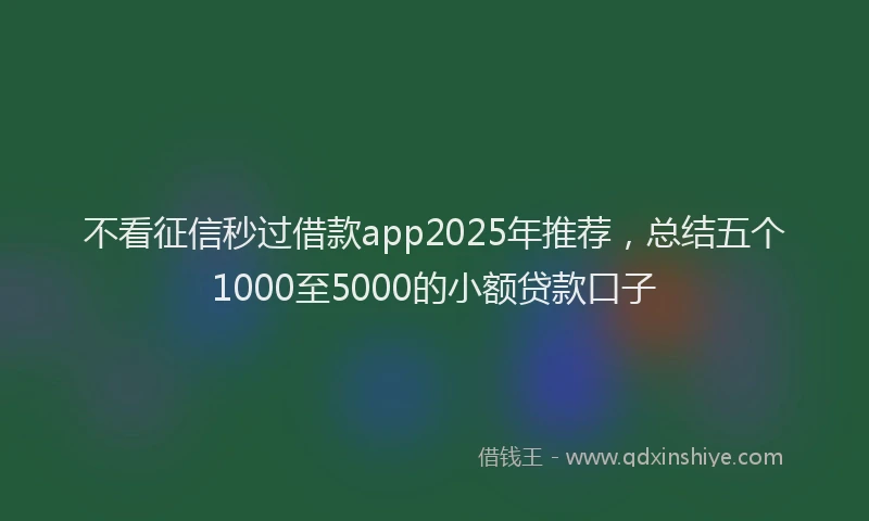 不看征信秒过借款app2025年推荐，总结五个1000至5000的小额贷款口子