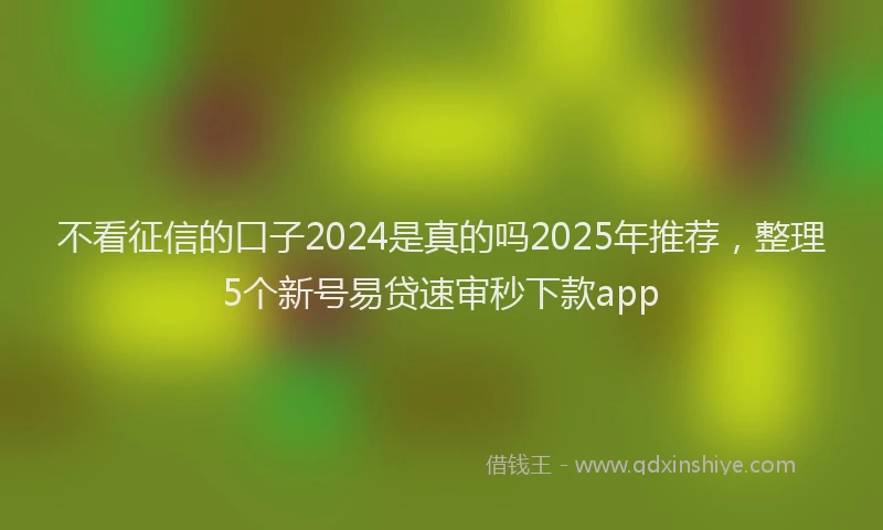 不看征信的口子2024是真的吗2025年推荐，整理5个新号易贷速审秒下款app