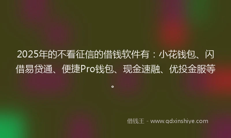 2025年的不看征信的借钱软件有：小花钱包、闪借易贷通、便捷Pro钱包、现金速融、优投金服等。