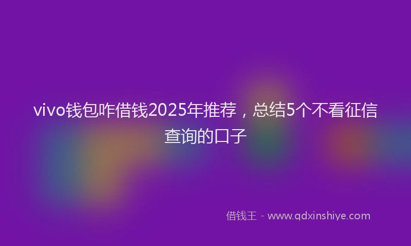 vivo钱包咋借钱2025年推荐，总结5个不看征信查询的口子
