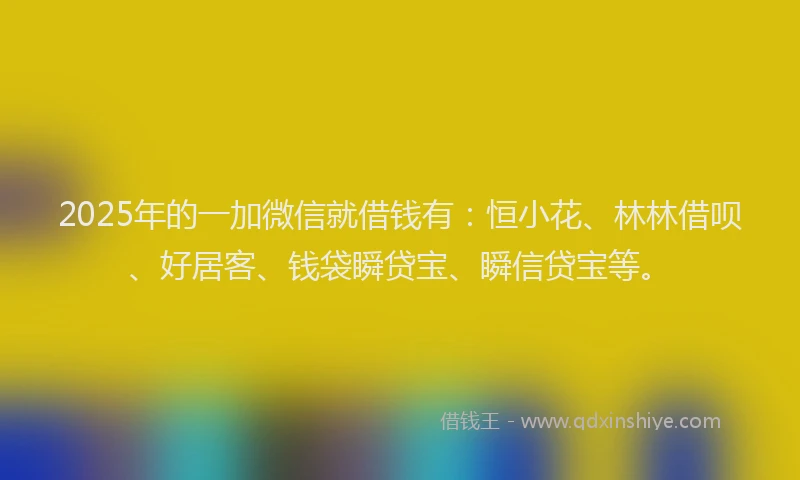 2025年的一加微信就借钱有：恒小花、林林借呗、好居客、钱袋瞬贷宝、瞬信贷宝等。