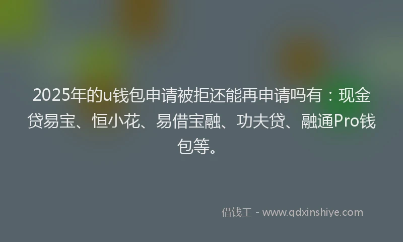 2025年的u钱包申请被拒还能再申请吗有：现金贷易宝、恒小花、易借宝融、功夫贷、融通Pro钱包等。