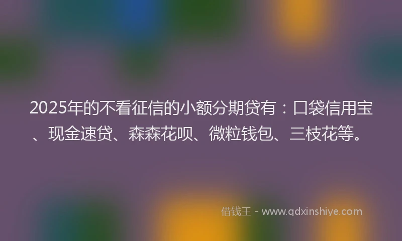 2025年的不看征信的小额分期贷有：口袋信用宝、现金速贷、森森花呗、微粒钱包、三枝花等。