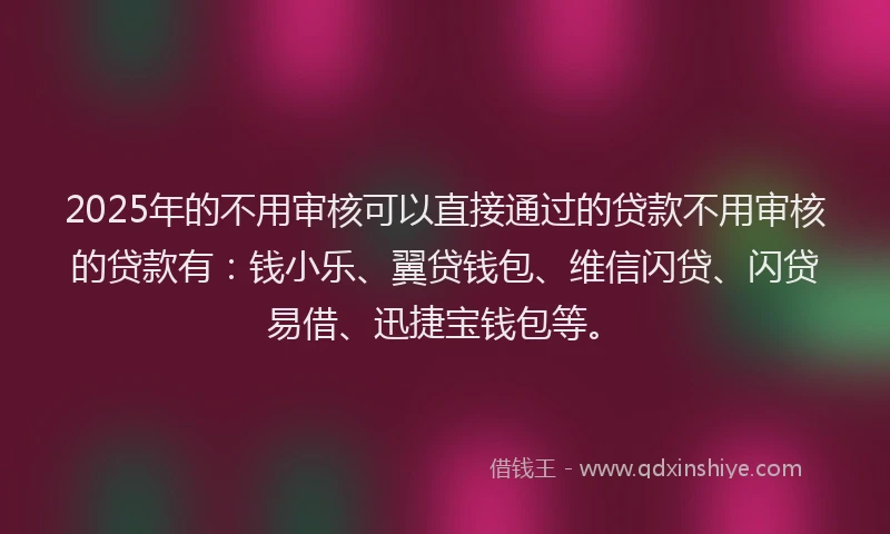 2025年的不用审核可以直接通过的贷款不用审核的贷款有：钱小乐、翼贷钱包、维信闪贷、闪贷易借、迅捷宝钱包等。