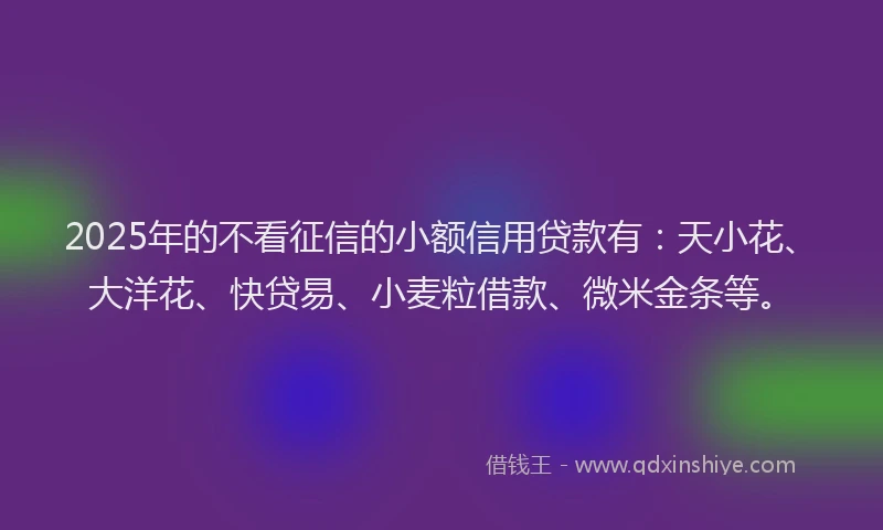 2025年的不看征信的小额信用贷款有：天小花、大洋花、快贷易、小麦粒借款、微米金条等。