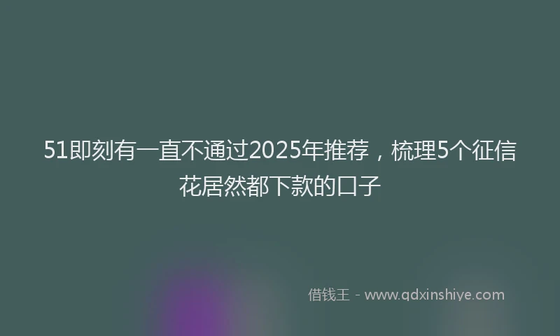 51即刻有一直不通过2025年推荐，梳理5个征信花居然都下款的口子