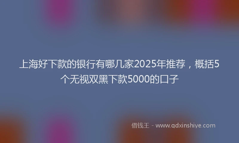 上海好下款的银行有哪几家2025年推荐，概括5个无视双黑下款5000的口子
