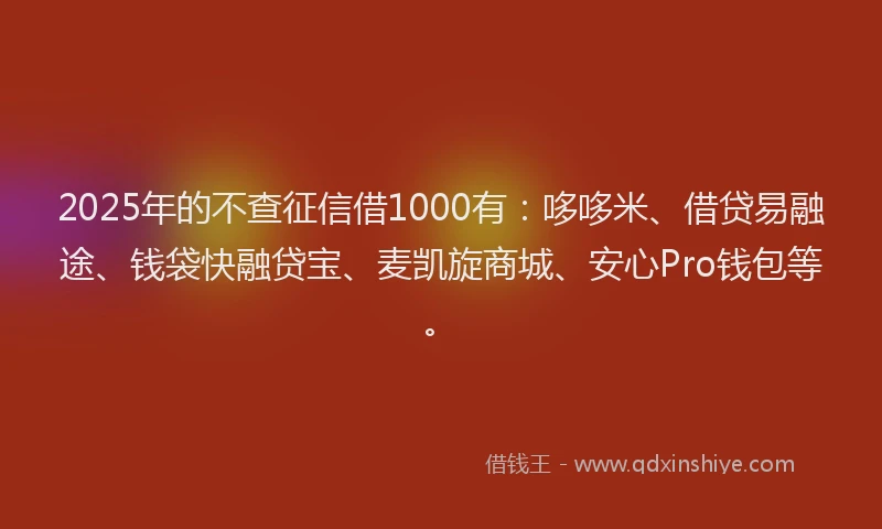 2025年的不查征信借1000有：哆哆米、借贷易融途、钱袋快融贷宝、麦凯旋商城、安心Pro钱包等。