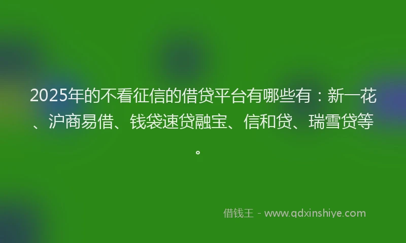 2025年的不看征信的借贷平台有哪些有：新一花、沪商易借、钱袋速贷融宝、信和贷、瑞雪贷等。