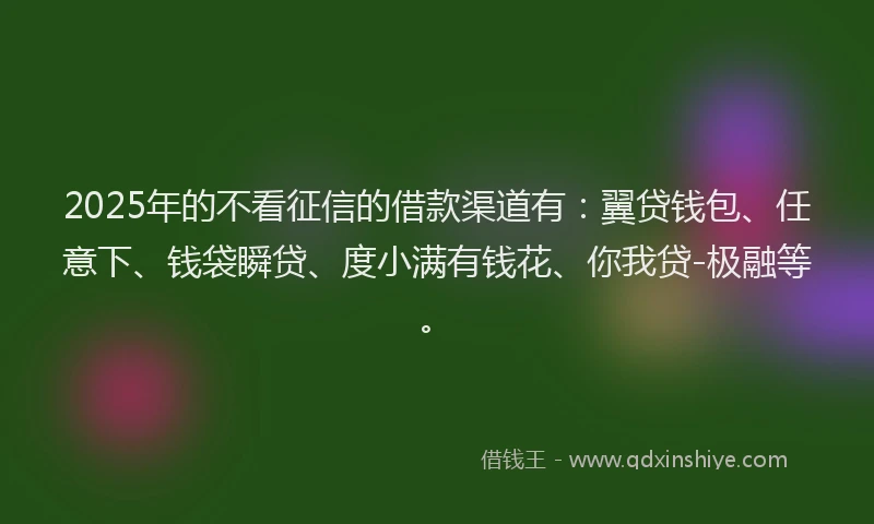 2025年的不看征信的借款渠道有：翼贷钱包、任意下、钱袋瞬贷、度小满有钱花、你我贷-极融等。