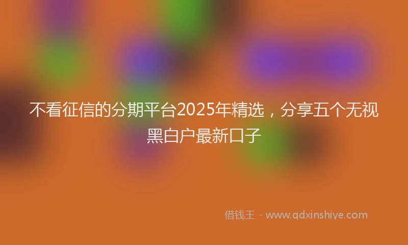 不看征信的分期平台2025年精选，分享五个无视黑白户最新口子