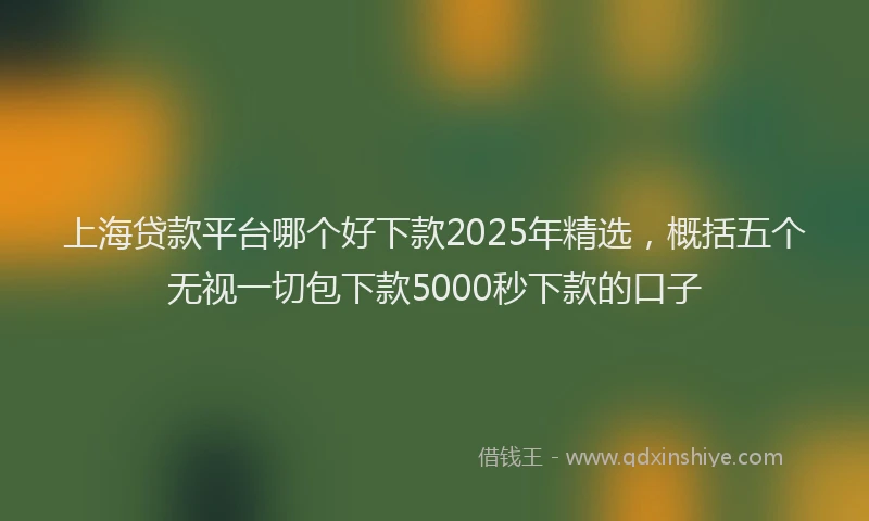 上海贷款平台哪个好下款2025年精选，概括五个无视一切包下款5000秒下款的口子