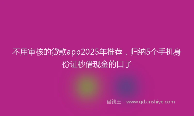 不用审核的贷款app2025年推荐，归纳5个手机身份证秒借现金的口子