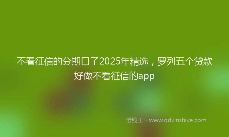 不看征信的分期口子2025年精选，罗列五个贷款好做不看征信的app