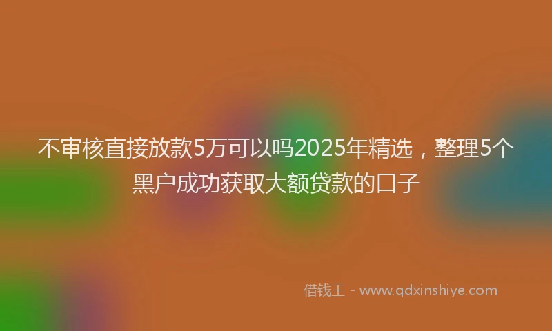 不审核直接放款5万可以吗2025年精选，整理5个黑户成功获取大额贷款的口子