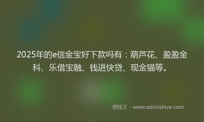 2025年的e信金宝好下款吗有：葫芦花、盈盈金科、乐借宝融、钱进快贷、现金猫等。